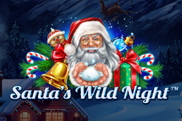 Santa's Wild Night